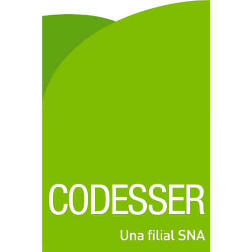 Codesser